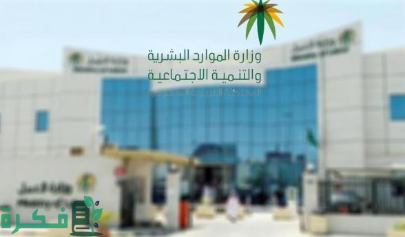 "الموارد البشرية" تكمل إطلاق المرحلة الأولى من خدمة "التحقق المهني" "الموارد البشرية" تكمل إطلاق المرحلة الأولى من خدمة "التحقق المهني"