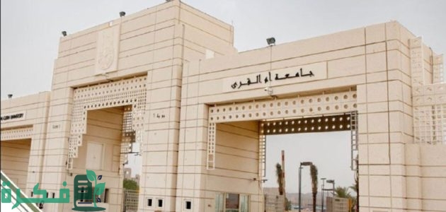 خطوات وشروط التقديم على وظائف جامعة أم القري 1446 1 تفاصيل التقديم علي وظائف جامعة أم القري 1446 حسب الشروط المطلوبة للتسجيل