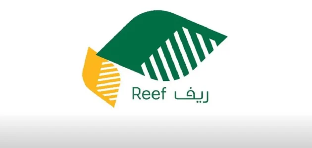 ما هي الشروط المطلوبة للحصول على دعم صغار الصيادين؟.. "وزارة البيئة" تجيب 1 ماهي الشروط المطلوبة للحصول على دعم صغار الصيادين؟ وزارة البيئة تجيب