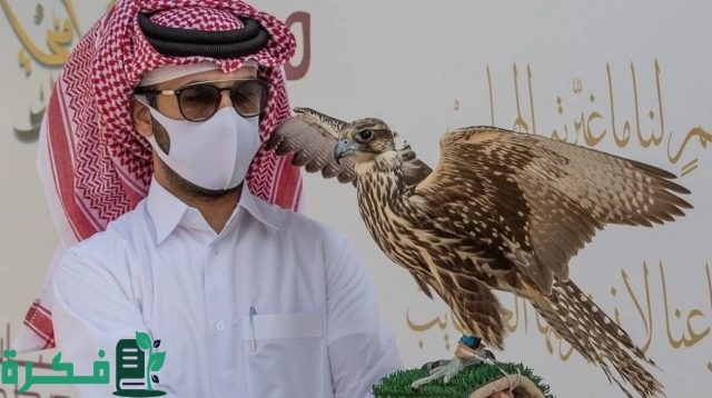 بدء فعاليات معرض الصقور والصيد السعودي الدولي 2024.. تجربة فريدة لعشاق التراث والطبيعة