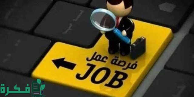 عاجل.. وظائف خالية بوزارة الصناعة والتقديم حتى 14 نوفمبر المقبل.. الأوراق المطلوبة