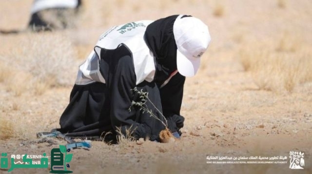 هيئة تطوير محمية الملك