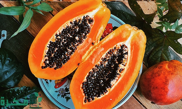 متى تثمر شجرة البابايا
