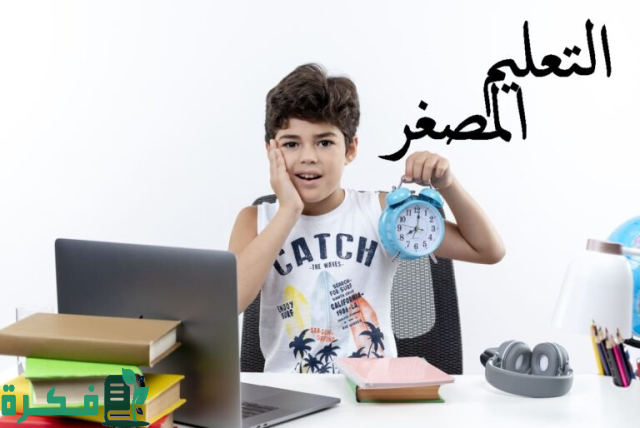 خصائص ومبررات استخدام التعليم المصغر خصائص ومبررات استخدام التعليم المصغر