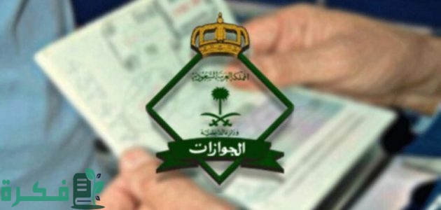 كم عدد التأشيرات المسموح بها للافراد وأنواع التأشيرات المتاحة 1 كم عدد التأشيرات المسموح بها للافراد