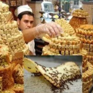 اكتشف سر صاحب مصنع الحلويات: حيلة عبقرية تمنع النمل والحشرات في المخابز!