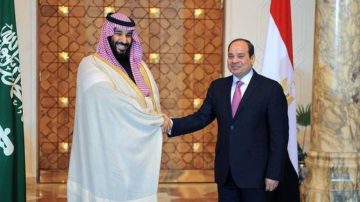 مجلس تنسيق سعودي مصري برئاسة ولي العهد والرئيس السيسي: خطوة جديدة لتعزيز التعاون المشترك
