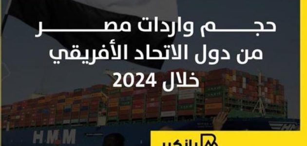 إنفوجراف: حجم واردات مصر من دول الاتحاد الإفريقي في 2024