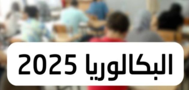 «استعلم الآن» عن نتائج البكالوريا 2025 في الجزائر برقم التسجيل والرقم السري عبر موقع الديوان الوطني للامتحانات
