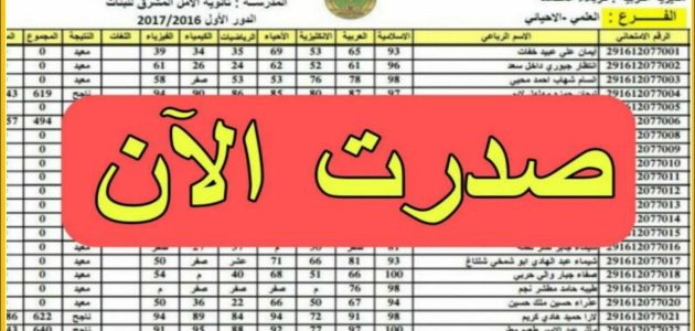 «اكتشف الآن» كيفية الاستعلام عن نتائج الصف السادس الابتدائي 2025 في العراق عبر موقع وزارة التربية العراقية epedu.gov.iq؟