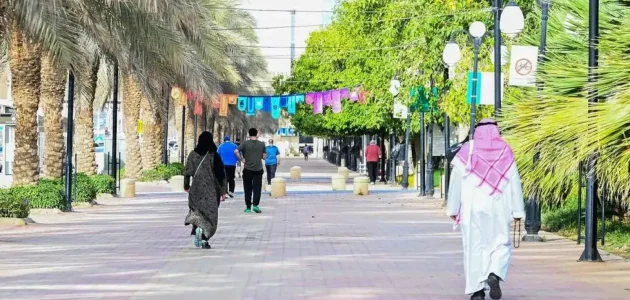 السعودية تسجل 35.3 مليون نسمة في تعداد سكان 2024: إحصاءات جديدة تكشف النمو السكاني