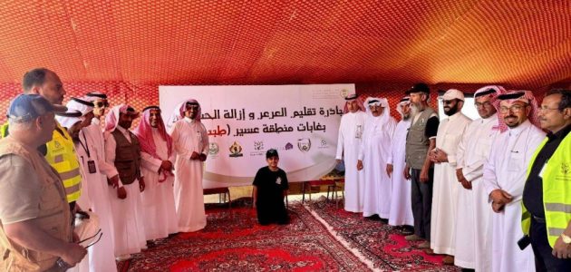 تقليم أشجار العرعر في غابات عسير يشهد انطلاقة جديدة 1 تقليم أشجار العرعر في غابات عسير يشهد انطلاقة جديدة