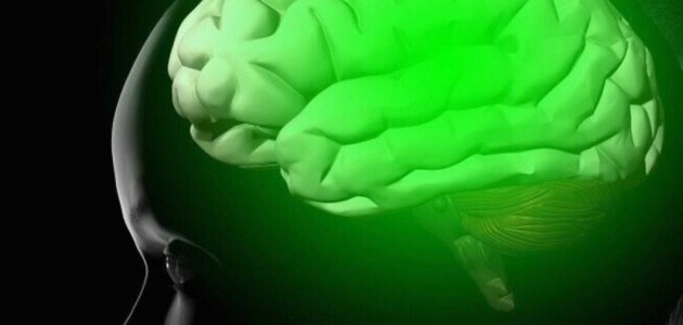 تقنية مبتكرة لتحرير الصور باستخدام إشارات الدماغ في السعودية 1 تقنية مبتكرة لتحرير الصور باستخدام إشارات الدماغ في السعودية