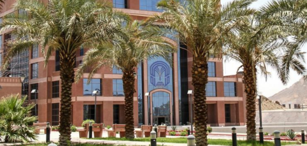 جامعة طيبة تعلن عن فتح باب القبول في برنامج تجسير التمريض 1447: فرصة مميزة لترقية المؤهل الأكاديمي للممارسين الصحيين