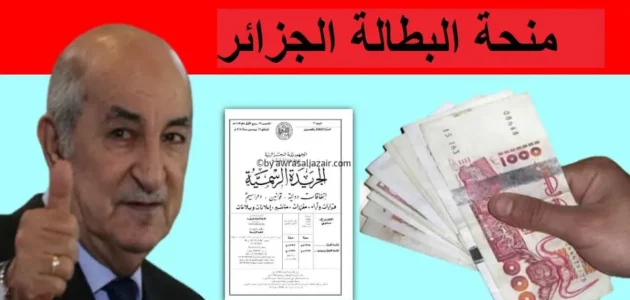 كيفية تجديد منحة البطالة 2025 في الجزائر: خطوات بسيطة لضمان استمرارية الدعم المالي