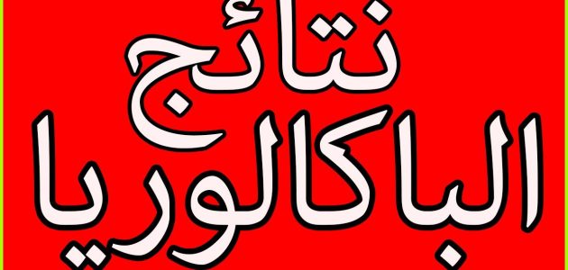 «لن تصدق» كيف يمكنك استخراج نتائج البكالوريا 2025 في الجزائر بسهولة! رابط مباشر برقم التسجيل!