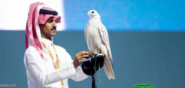 مزاد دولي لمزارع إنتاج الصقور ينطلق في أغسطس بملهم شمال الرياض 1 مزاد دولي لمزارع إنتاج الصقور ينطلق في أغسطس بملهم شمال الرياض