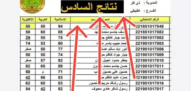 «هل تبحث عن نتائج السادس الإعدادي؟» الآن يمكنك تحميل ملفات PDF للدور الأول 2025 لجميع المحافظات من نتائجنا وmoedu.gov.iq