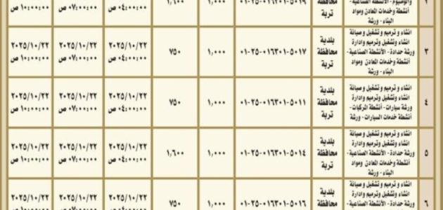 20 فرصة استثمارية جديدة تنتظر المستثمرين في بلدية تربة 1 20 فرصة استثمارية جديدة تنتظر المستثمرين في بلدية تربة