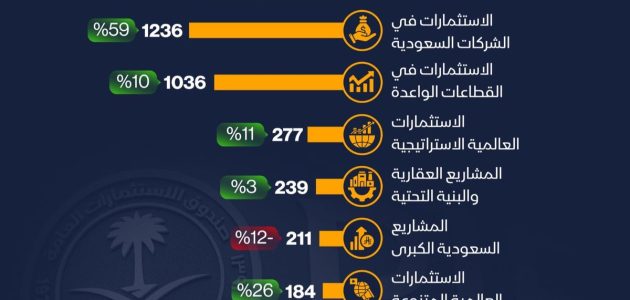أصول "السيادي السعودي" تتوزع بشكل مثير بنهاية 2024 وفق إنفوغراف حصري 1 أصول "السيادي السعودي" تتوزع بشكل مثير بنهاية 2024 وفق إنفوغراف حصري