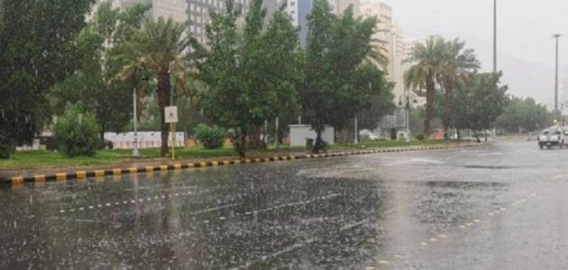 أمطار رعدية غزيرة تضرب جازان وعسير والباحة وفق توقعات الأرصاد 1 أمطار رعدية غزيرة تضرب جازان وعسير والباحة وفق توقعات الأرصاد