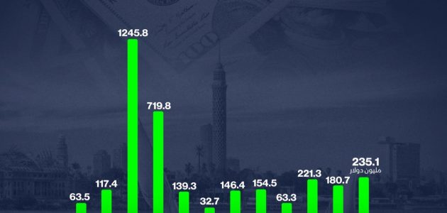 استثمارات سعودية في مصر تتجاوز التوقعات وفق إنفوغراف حصري 1 استثمارات سعودية في مصر تتجاوز التوقعات وفق إنفوغراف حصري