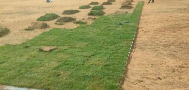 تطوير أرضية استاد برج العرب يثير الحماس قبل انطلاق الدوري 1 تطوير أرضية استاد برج العرب يثير الحماس قبل انطلاق الدوري