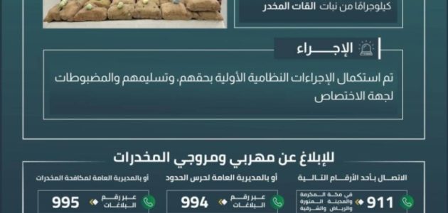 حرس الحدود بجازان ينجح في إحباط تهريب 260 كلغ من نبات القات عبر القبض على 10 مخالفين لنظام أمن الحدود 1 حرس الحدود بجازان ينجح في إحباط تهريب 260 كلغ من نبات القات عبر القبض على 10 مخالفين لنظام أمن الحدود