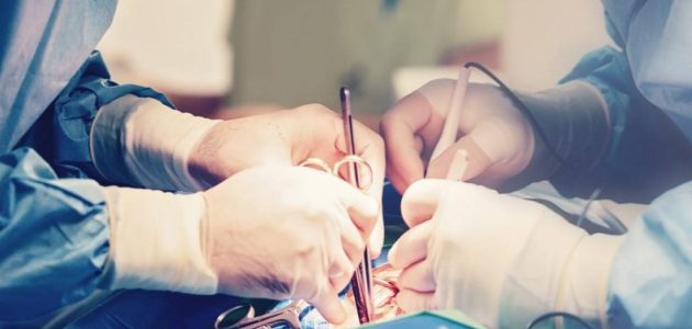 رقعة قلبية مطبوعة ثلاثياً تعيد الأمل في إصلاح أنسجة القلب التالفة في السعودية 1 رقعة قلبية مطبوعة ثلاثياً تعيد الأمل في إصلاح أنسجة القلب التالفة في السعودية