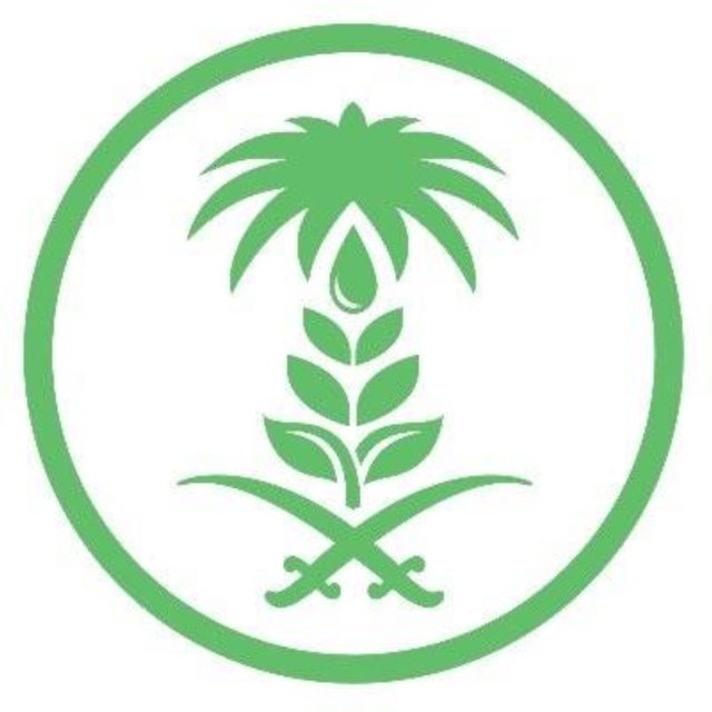 سحب 92 عينة عشوائية