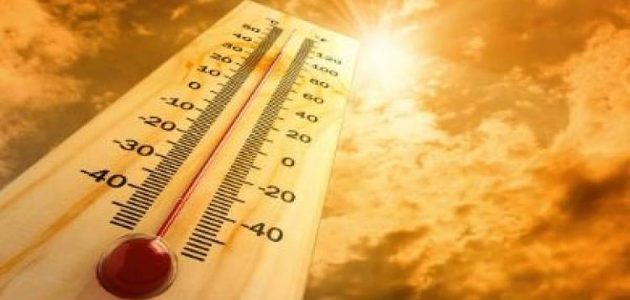 موجة حر شديدة تودي بحياة 1300 شخص في البرتغال 1 موجة حر شديدة تودي بحياة 1300 شخص في البرتغال