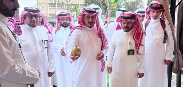 مهرجان الرمان والمنتجات الزراعية الخامس بسراة عبيدة يحقق نجاحًا لافتًا
